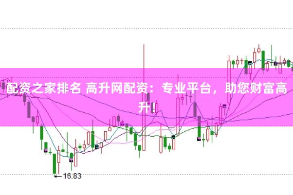 配资之家排名 高升网配资：专业平台，助您财富高升！