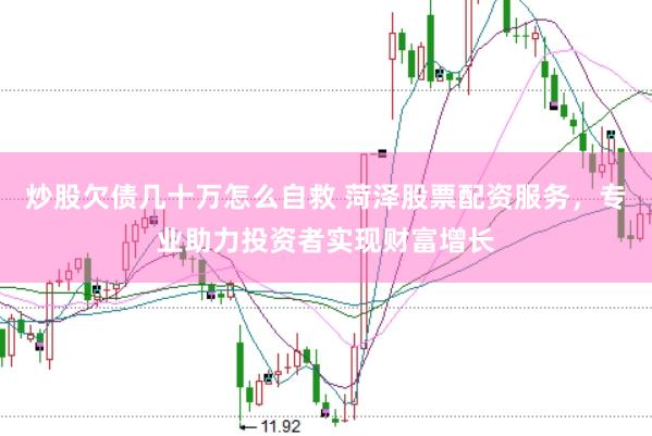 炒股欠债几十万怎么自救 菏泽股票配资服务,专业助力投资者实现财富增长