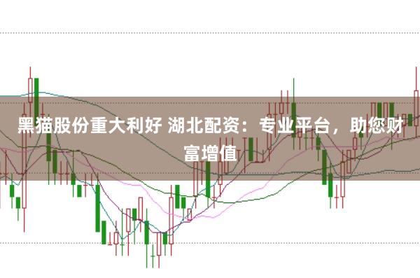 黑猫股份重大利好 湖北配资:专业平台,助您财富增值